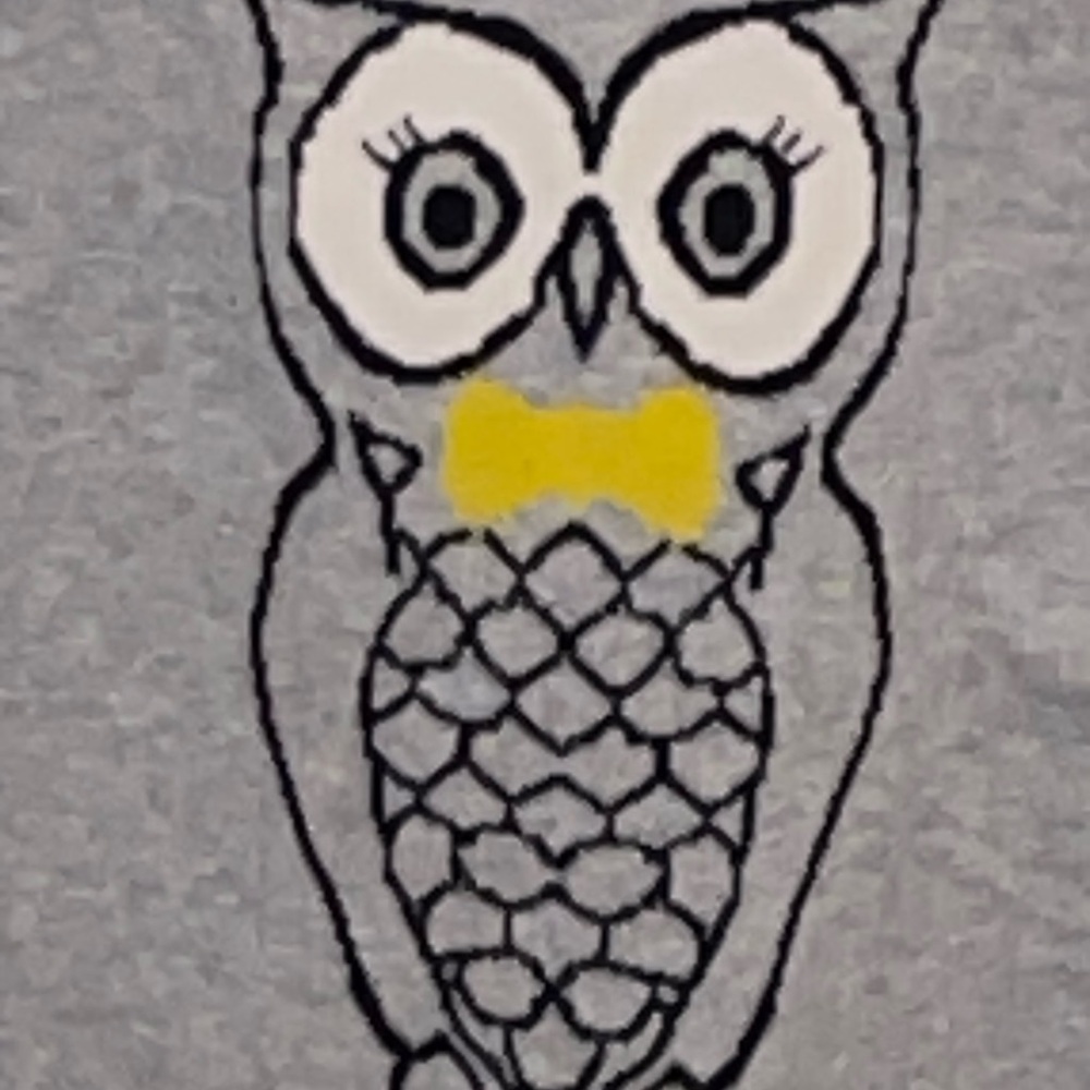 Gray Owl Sweater - Picture 4 of 5